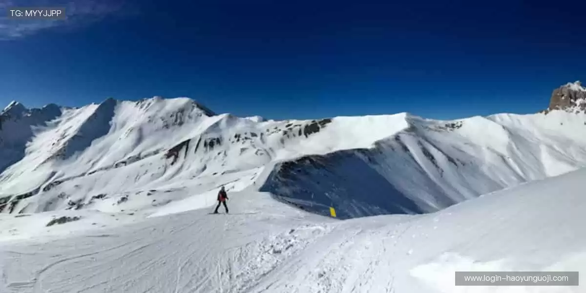 赛事同步,精彩零时差!📡🎮